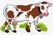 Загадки про корову