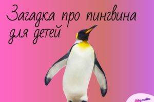загадка про пингвина для детей