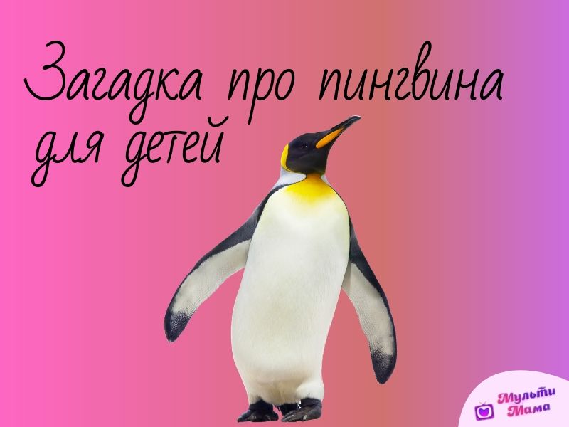 загадка про пингвина для детей