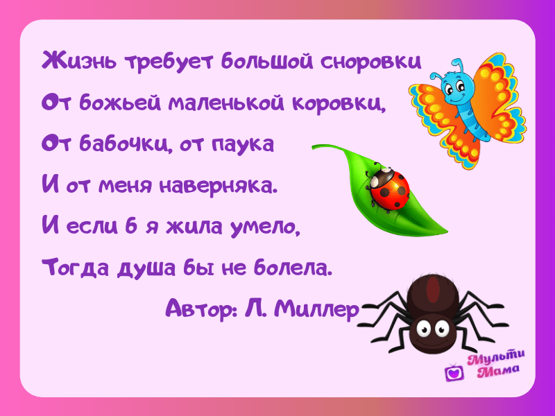 стихи про насекомых