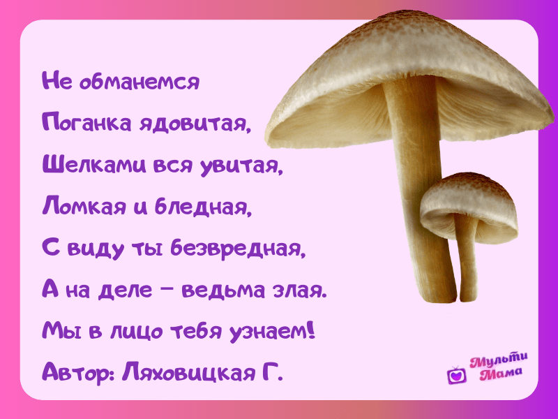 стихи про грибы