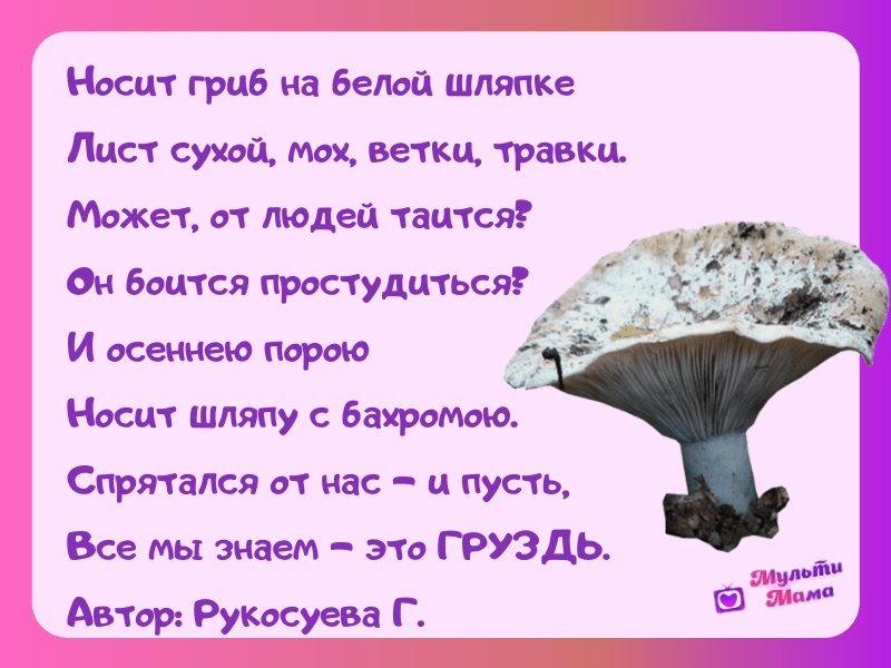 стихи про грибы