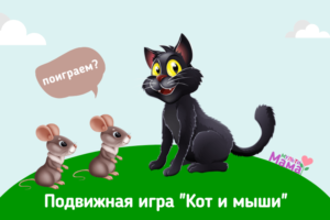 Подвижная игра "Кот и мыши"