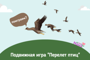 Подвижная игра "Перелет птиц"